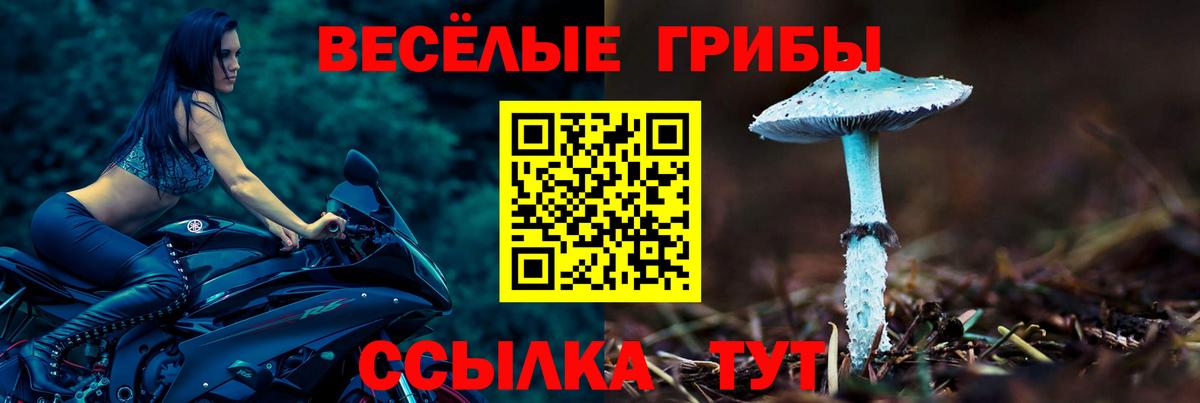 Псилоцибиновые грибы Psilocybe Маркс
